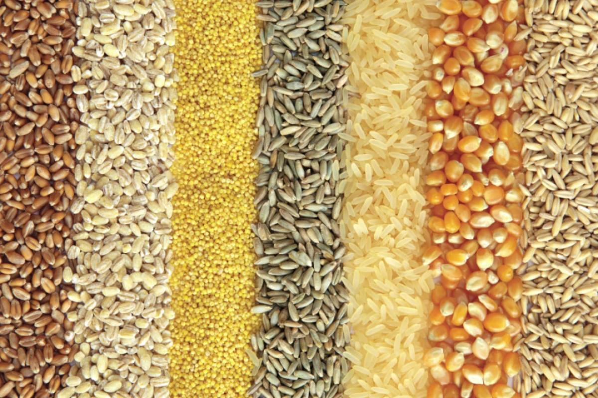 غلات سالم و نحوه لذت بردن از آنها