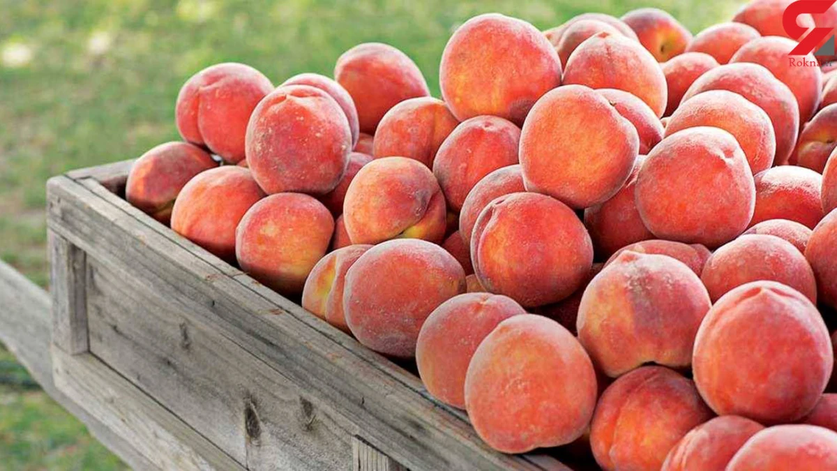 هلو چطور میتونه بدن ما رو سالم نگه داره؟