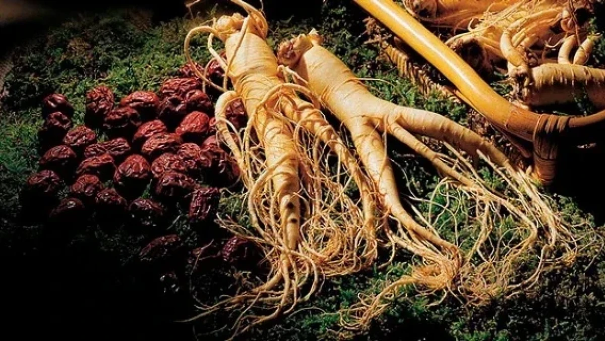 افزایش انرژی با مصرف جینسنگ