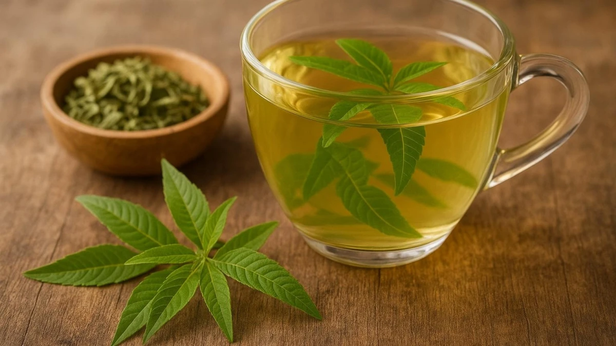 همه چیز درباره گیاه به‌لیمو و خواص آرامبخش آن