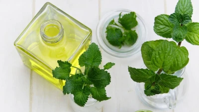 خواص عرق نعناع در طب سنتی