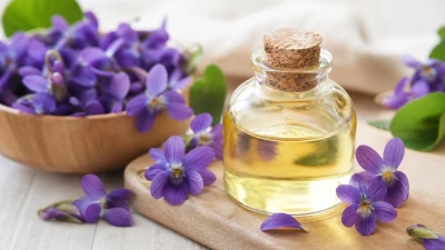 روغن بنفشه چیست؟ خواص، طبع، کاربردها و روش مصرف در طب سنتی