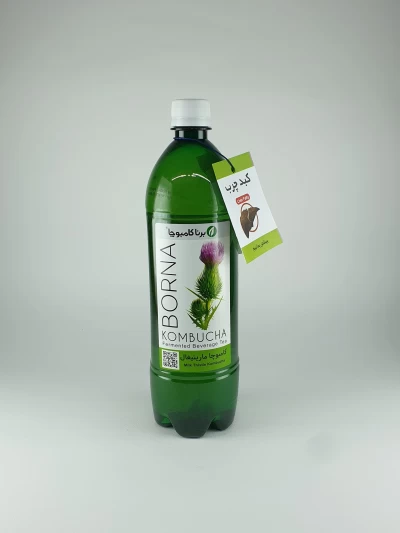 برنا کامبوچا ماریتیغال یک لیتری