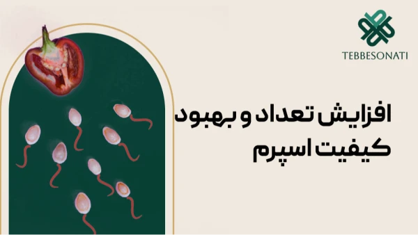 روش‌های طبیعی افزایش تعداد و بهبود کیفیت اسپرم؛ راهنمای جامع تغذیه، گیاهان دارویی و سبک زندگی