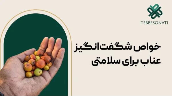 خواص شگفت‌انگیز عناب برای سلامتی