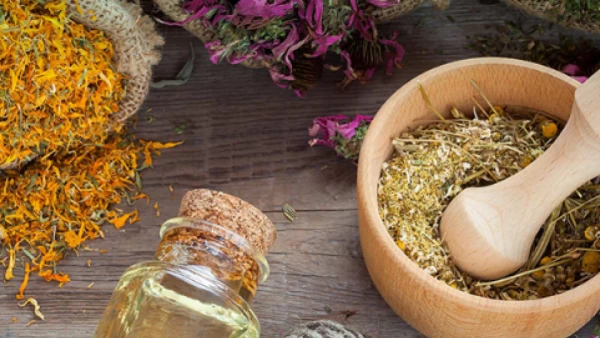 طب سنتی اروپا