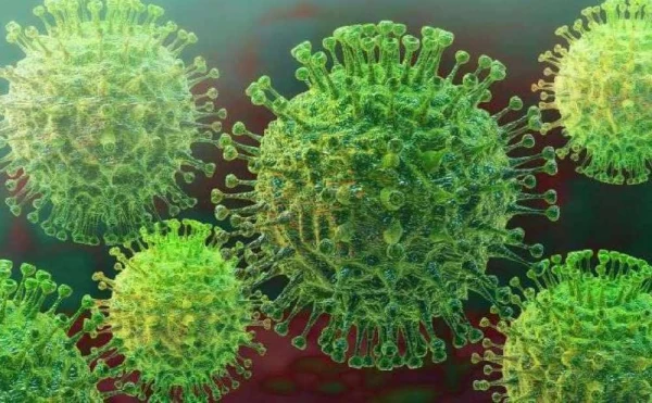 ویروس کرونا چیست و چطور بوجود آمد؟