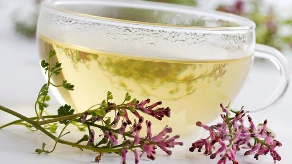 خواص شاه‌تره؛ گیاه تلخِ پرخاصیت