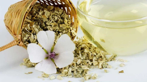 خواص درمانی گل ختمی در طب سنتی