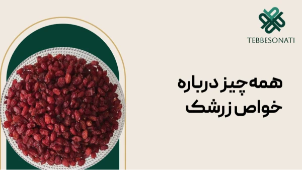 خواص زرشک برای سلامتی؛ هر آنچه باید درباره این میوه ترش بدانید