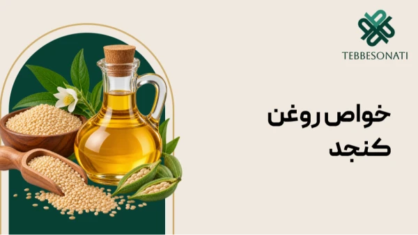 خواص روغن کنجد؛  از سلامت بدن تا مراقبت از پوست و مو