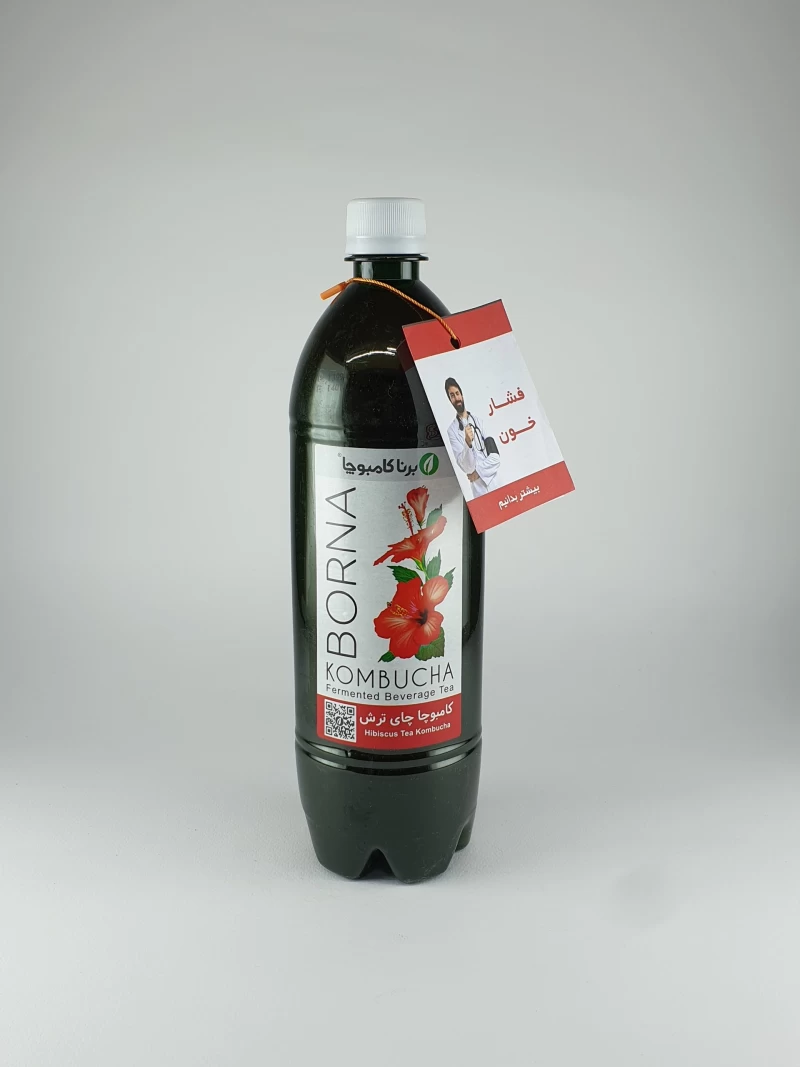 برنا کامبوچا چای ترش یک لیتری